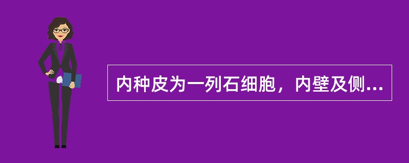 内种皮为一列石细胞，内壁及侧壁极厚，胞腔小，偏于外侧，内含硅质块的药材是（）。