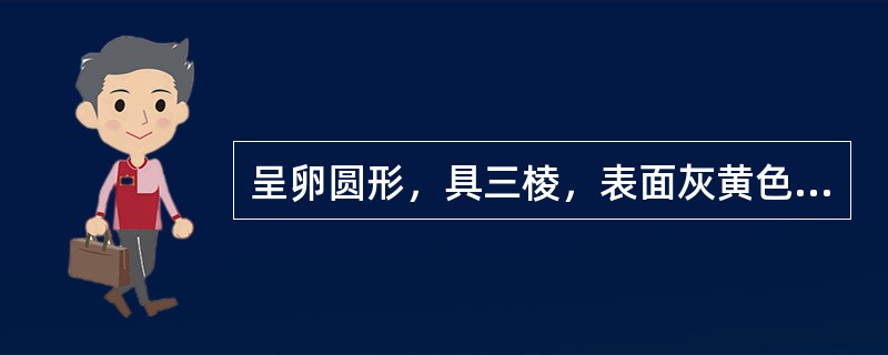 呈卵圆形，具三棱，表面灰黄色或稍深，有纵线6条的药材是（）。