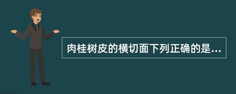 肉桂树皮的横切面下列正确的是（）