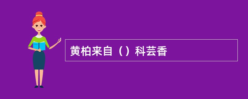 黄柏来自（）科芸香