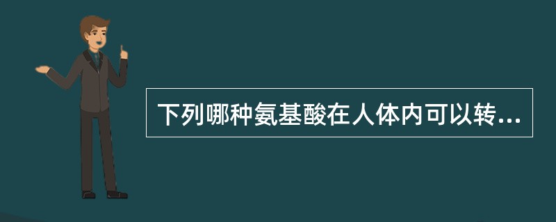 下列哪种氨基酸在人体内可以转化为尼克酸（）。