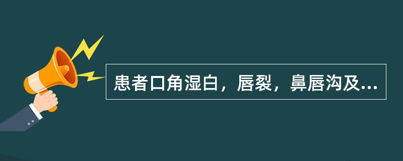 患者口角湿白，唇裂，鼻唇沟及眉间脂溢性皮炎，阴囊红肿，有溢出液，并有怕光、流泪、