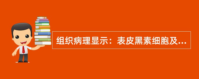 组织病理显示：表皮黑素细胞及黑素颗粒明显减少、基底层黑素细胞多巴染色呈阴性的皮肤