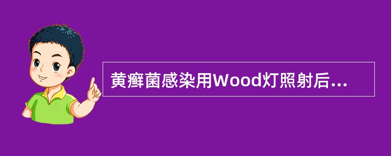 黄癣菌感染用Wood灯照射后呈（）。