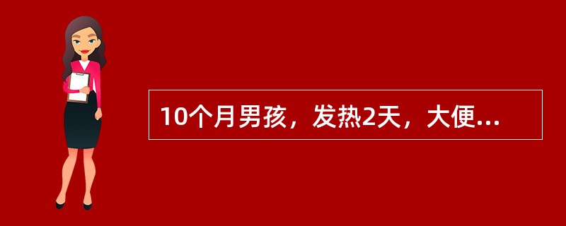 10个月男孩，发热2天，大便稀，7～8次/日，有时吐，小便量稍减少。查体：皮肤稍