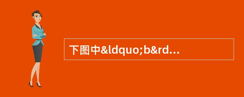 下图中“b”所示部位是（）。