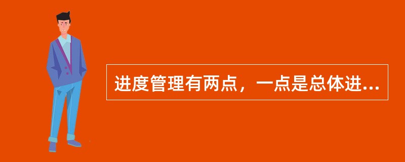 进度管理有两点，一点是总体进度，另一点是（）。