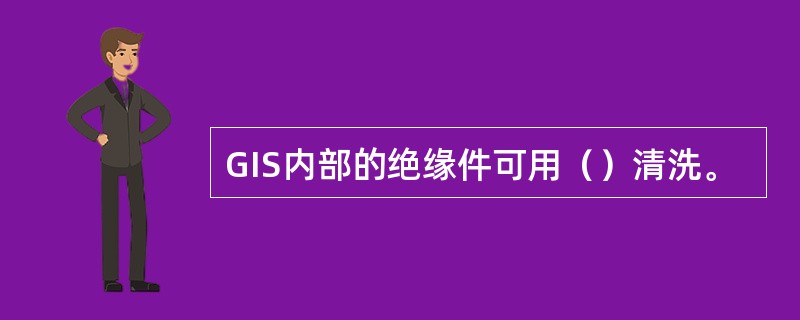 GIS内部的绝缘件可用（）清洗。