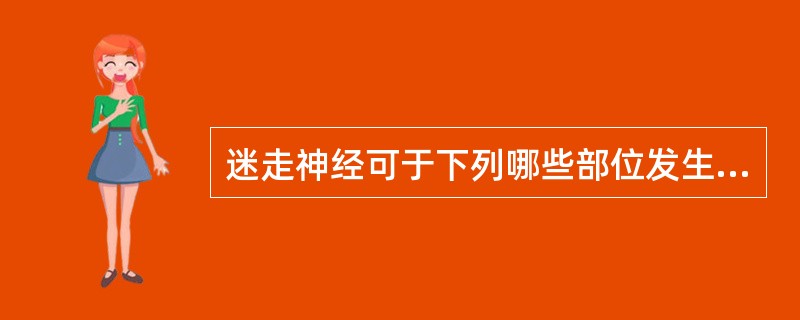 迷走神经可于下列哪些部位发生病变（）