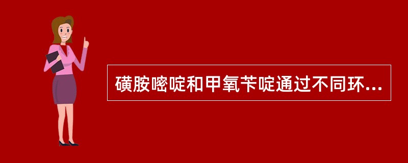 磺胺嘧啶和甲氧苄啶通过不同环节干扰叶酸代谢，两者合用可提高疗效。