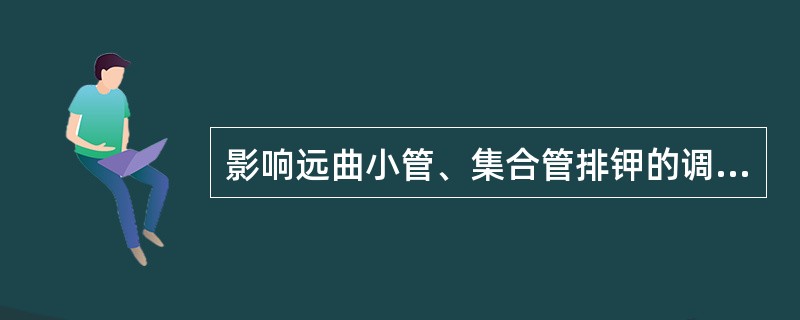 影响远曲小管、集合管排钾的调节因素是（）。