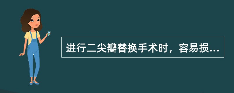 进行二尖瓣替换手术时，容易损伤哪支冠状动脉（）