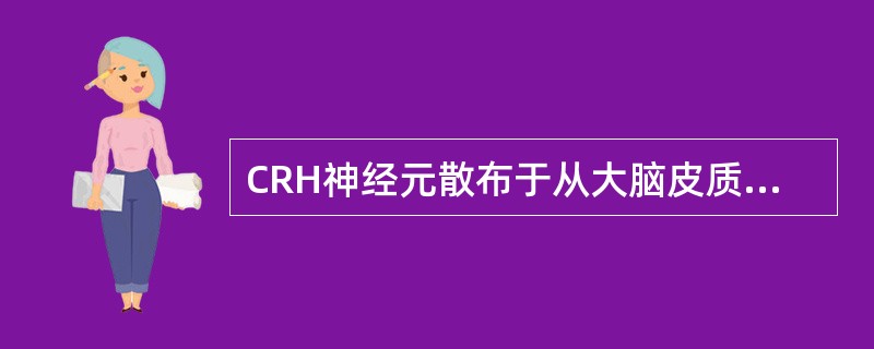 CRH神经元散布于从大脑皮质到脊髓的广泛脑区，但最主要位于（）。