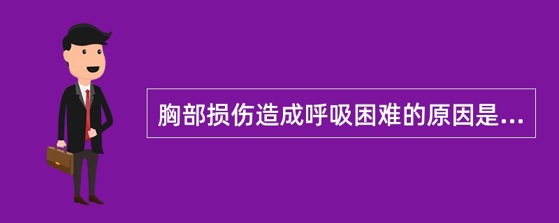 胸部损伤造成呼吸困难的原因是（）