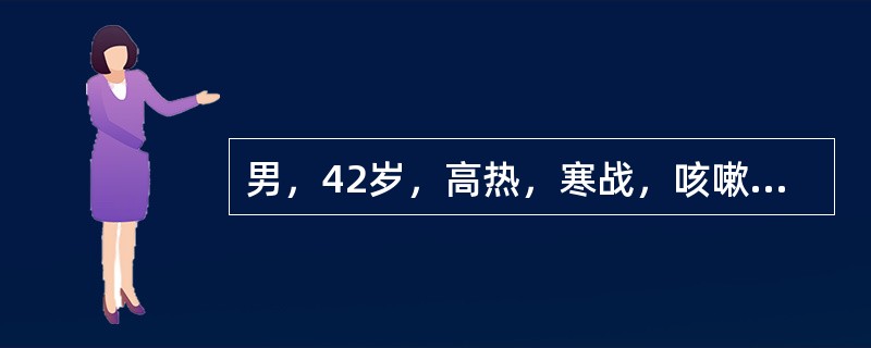 男，42岁，高热，寒战，咳嗽，胸痛1周左右，CT检查如图，选择最可能的诊断（）