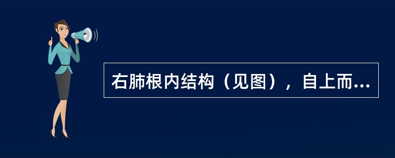 右肺根内结构（见图），自上而下依次为（）