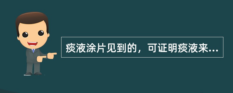 痰液涂片见到的，可证明痰液来自肺及支气管深部的细胞是（）。