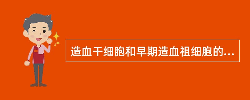 造血干细胞和早期造血祖细胞的标志是（）。