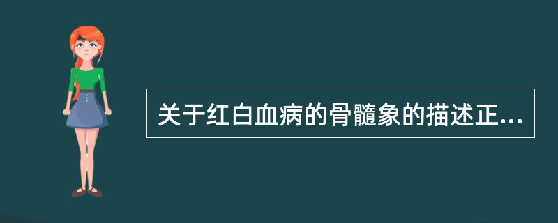 关于红白血病的骨髓象的描述正确的是（）.