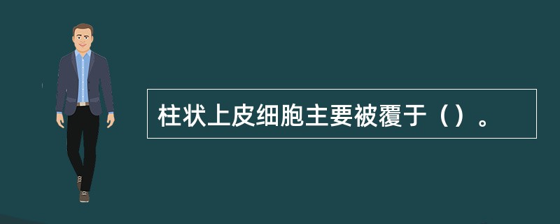 柱状上皮细胞主要被覆于（）。