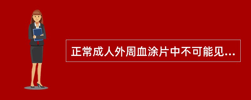 正常成人外周血涂片中不可能见到的是（）。