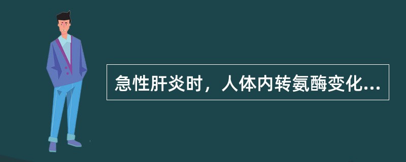 急性肝炎时，人体内转氨酶变化为（）。