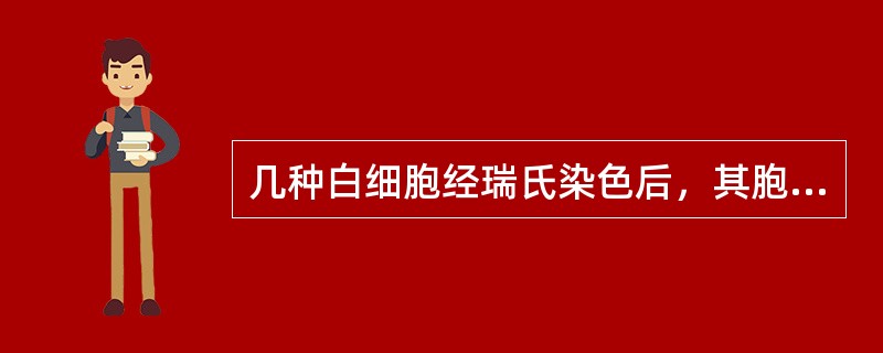 几种白细胞经瑞氏染色后，其胞浆内颗粒的描述，错误的是（）。