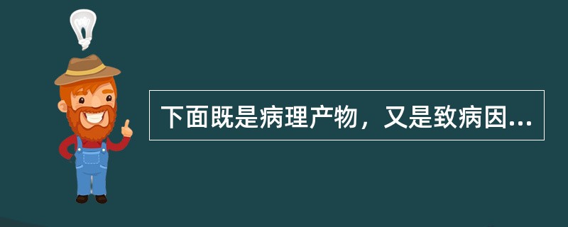 下面既是病理产物，又是致病因素的是（）。