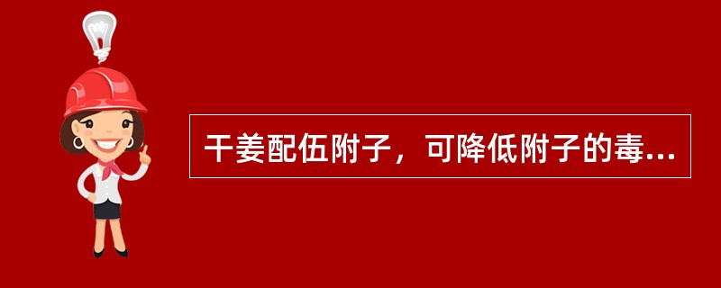 干姜配伍附子，可降低附子的毒性，属于：（）