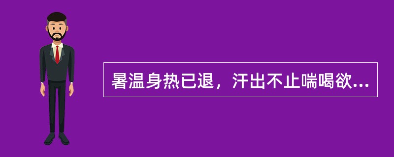 暑温身热已退，汗出不止喘喝欲脱，脉散大，其治法为（）