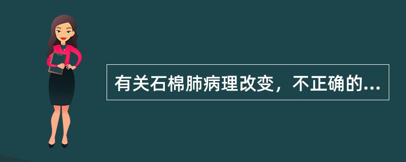 有关石棉肺病理改变，不正确的是（）