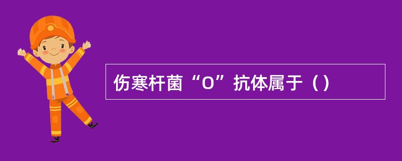 伤寒杆菌“O”抗体属于（）