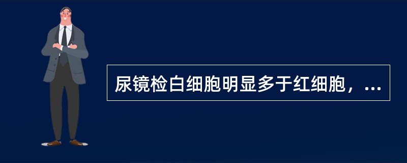 尿镜检白细胞明显多于红细胞，可见白细胞管型，蛋白增多不明显，常见于（）