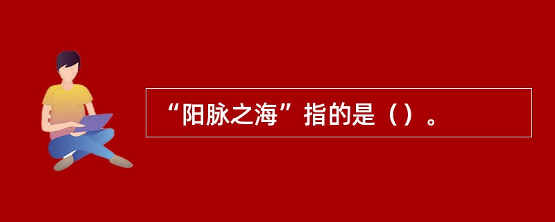 “阳脉之海”指的是（）。