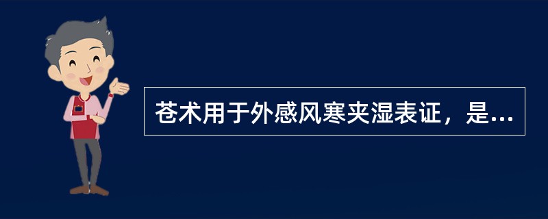 苍术用于外感风寒夹湿表证，是取其什么功效（）