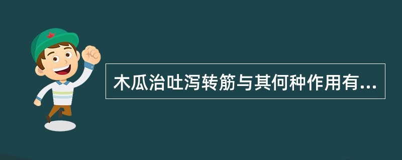 木瓜治吐泻转筋与其何种作用有关（）