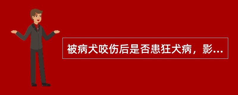 被病犬咬伤后是否患狂犬病，影响因素包括哪些？