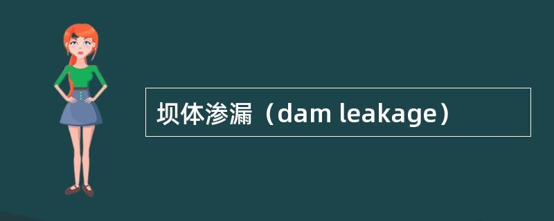 坝体渗漏（dam leakage）