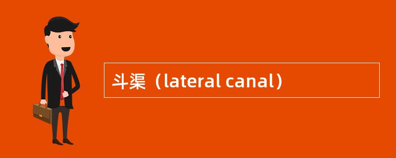 斗渠（lateral canal）