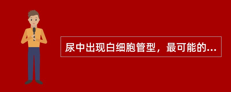 尿中出现白细胞管型，最可能的疾病是（）。