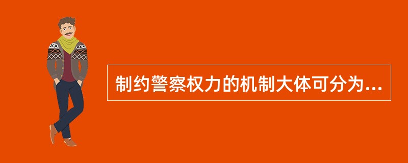 制约警察权力的机制大体可分为（）。