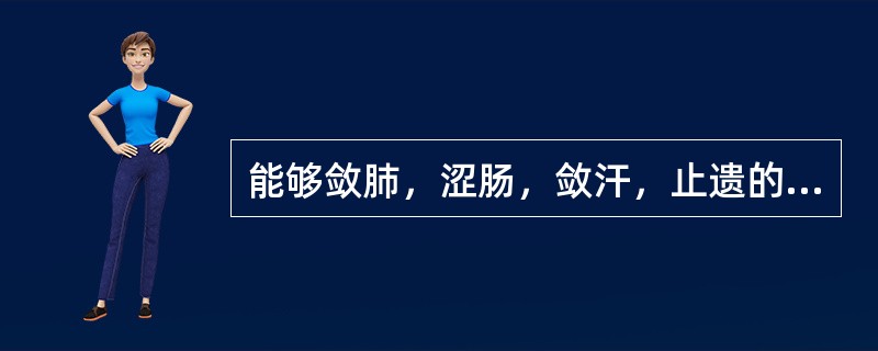 能够敛肺，涩肠，敛汗，止遗的药物是（）