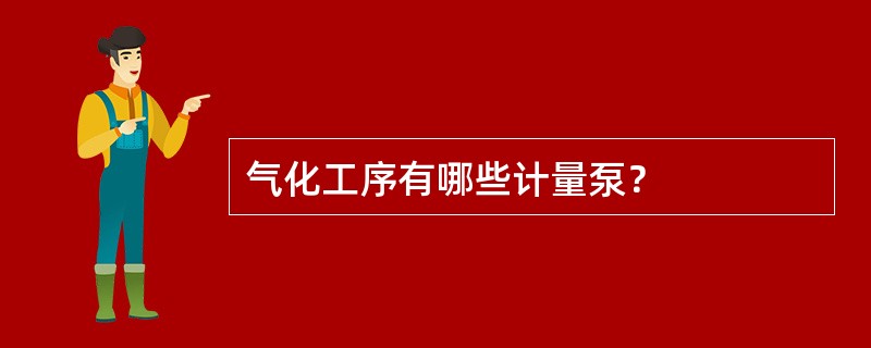 气化工序有哪些计量泵？