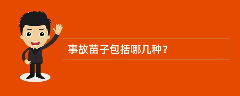 事故苗子包括哪几种？