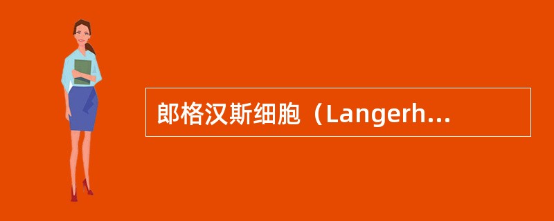 郎格汉斯细胞（Langerhanscell）（）