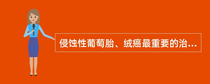 侵蚀性葡萄胎、绒癌最重要的治疗手段是（）