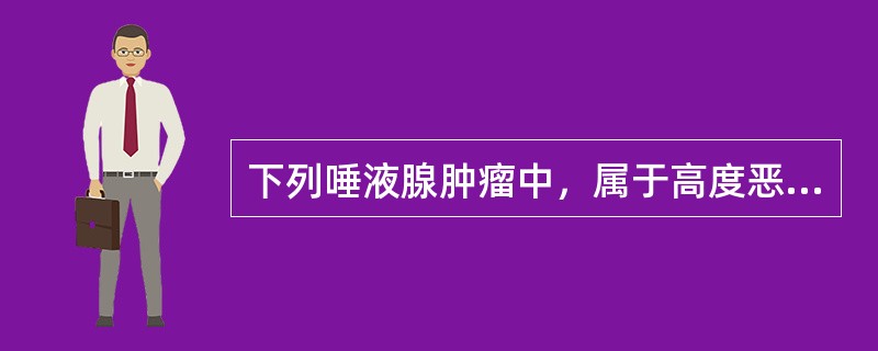 下列唾液腺肿瘤中，属于高度恶性的是：（）