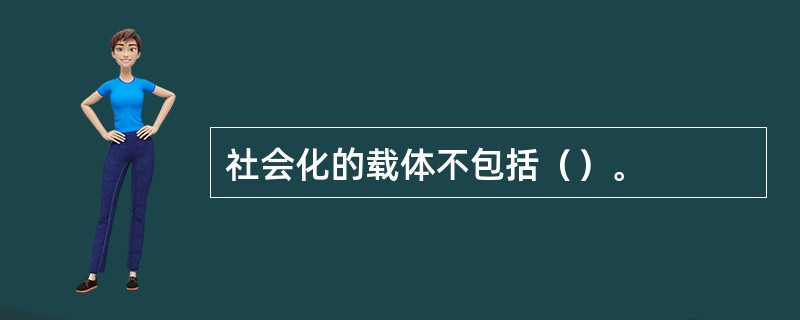 社会化的载体不包括（）。