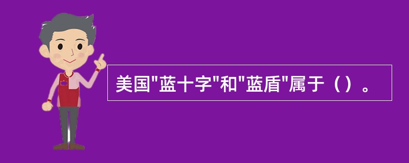 美国"蓝十字"和"蓝盾"属于（）。