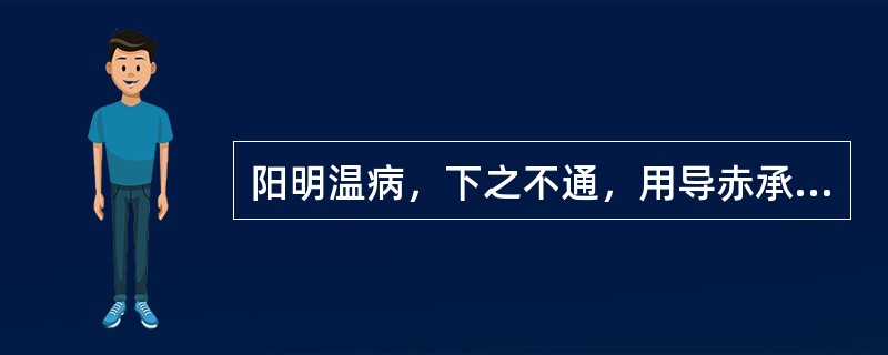 阳明温病，下之不通，用导赤承气汤的病证，主要见症有：（）.